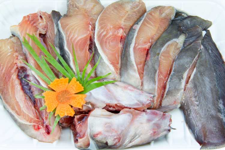 Pesce spada - fonte_Canva - piemontetopnews.it