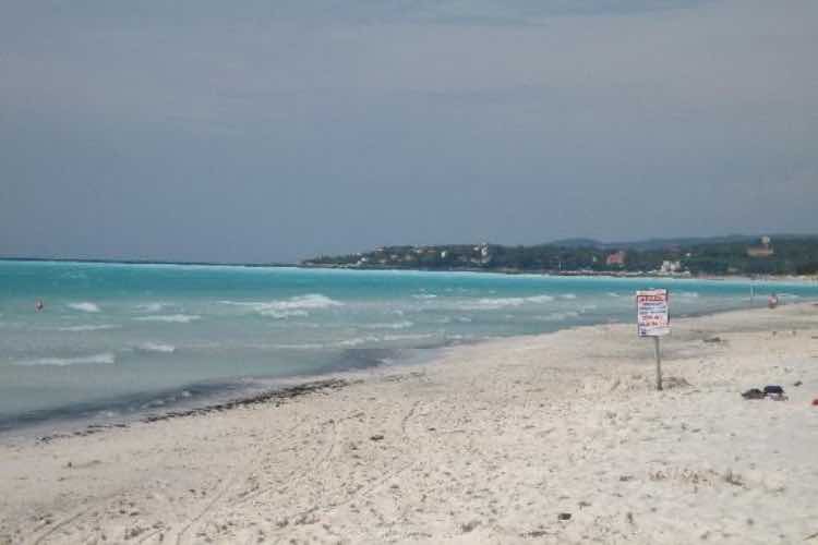 Rosignano Solvay - fonte_Tripadvisor - Piemontetopnews.it