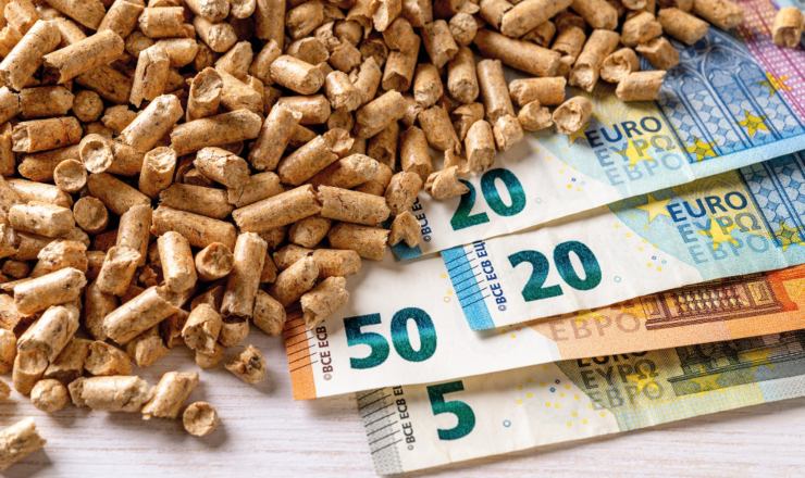Bonus pellet (web) - Piemontetopnews.it