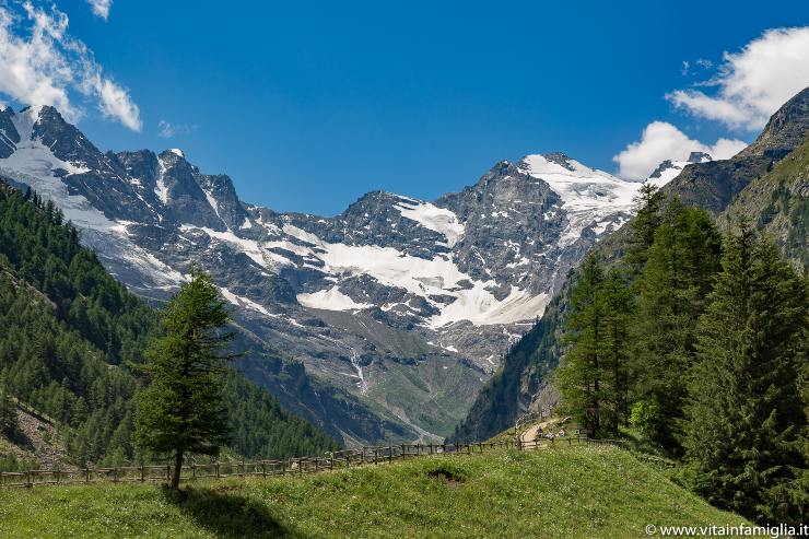 Il Parco Nazionale Gran Paradiso 