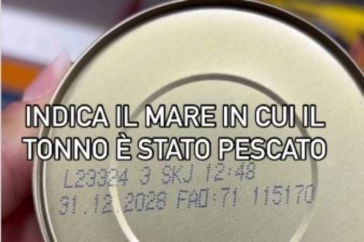 etichetta-tonno-zone-fao-instagram-giorgia.russ_piemontetopnews.it