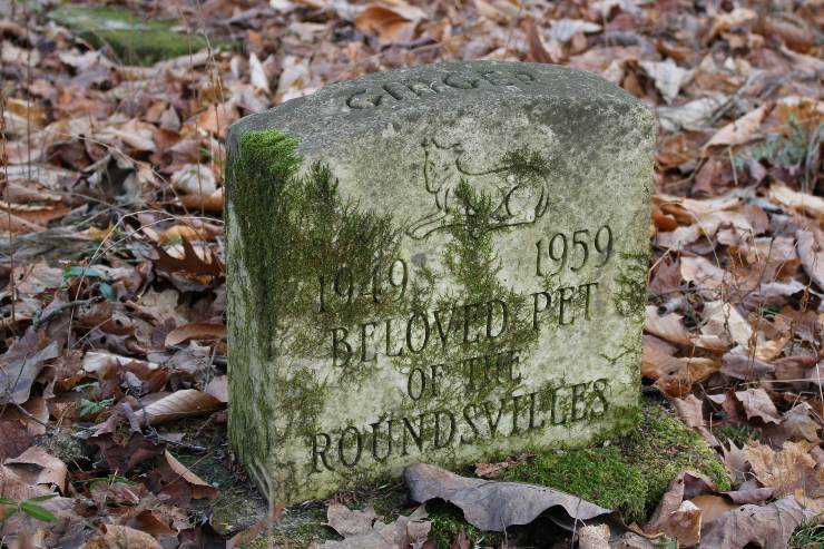 cimitero animali