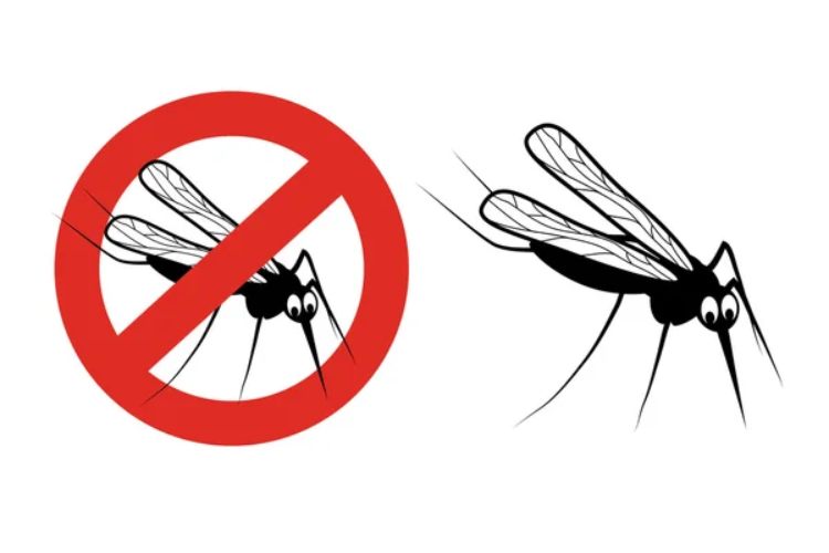repellente-zanzare-depositphotos-piemontetopnews.it