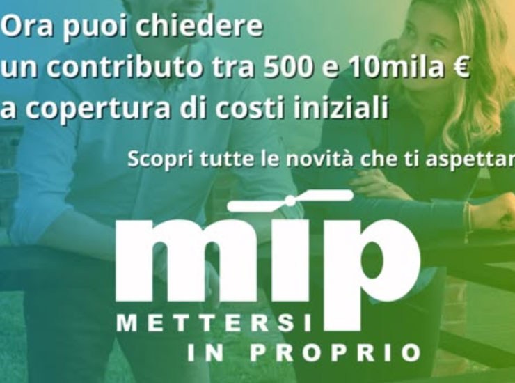 Il manifesto del MIP promosso dalla regione Piemonte - Piemontetopnews.it
