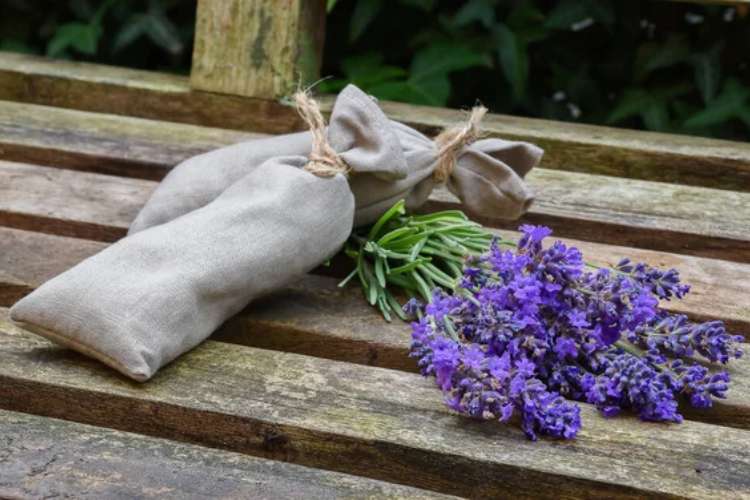sacchetti-lavanda-gel-silice-depositphotos-piemontetopnews.it