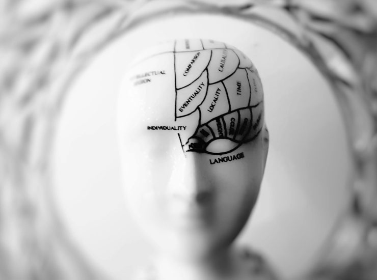 Gli errori involontari del cervello: cosa dice lo studio - Piemontetopnews.it