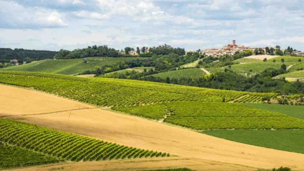 paesaggio-del-monferrato-depositphotos-piemontetopnews.it