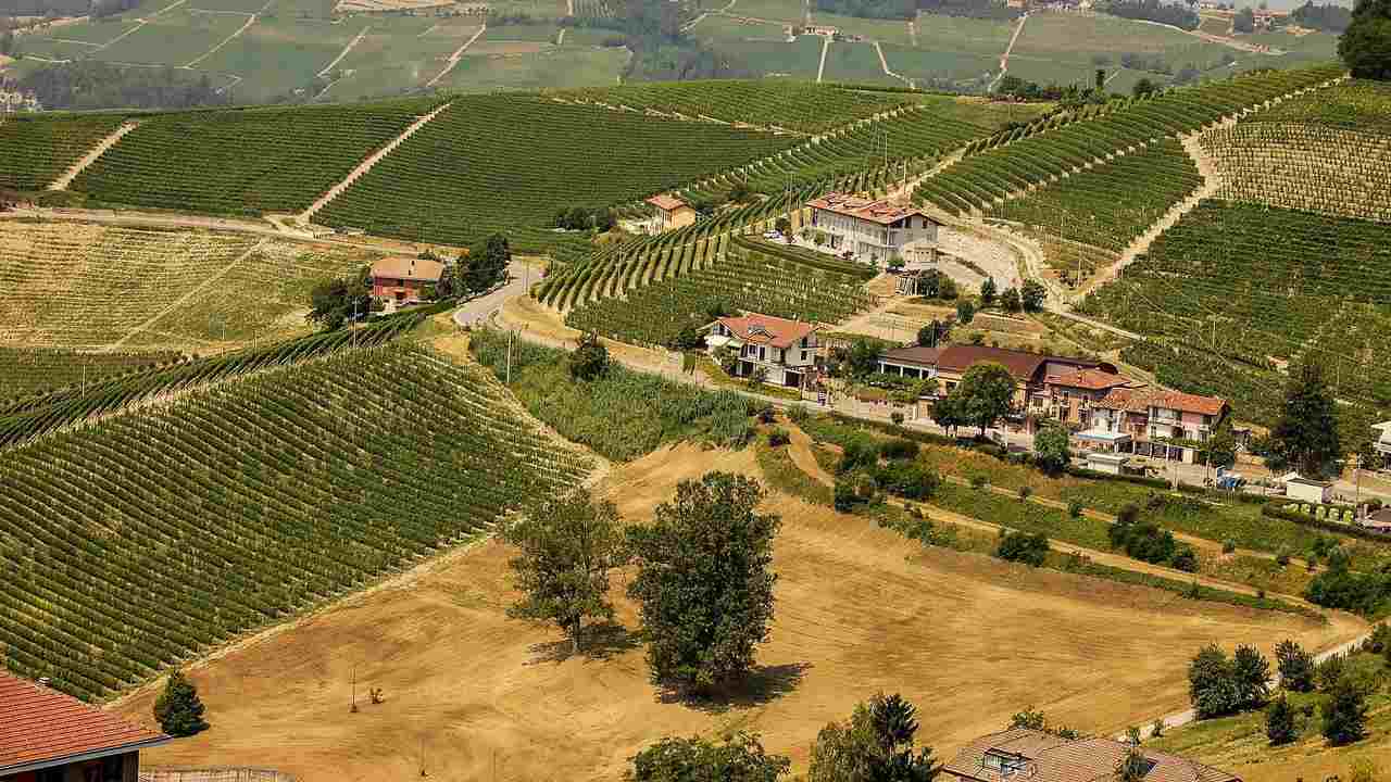 L'incantevole panorama delle colline piemontesi - Piemontetopnews.it