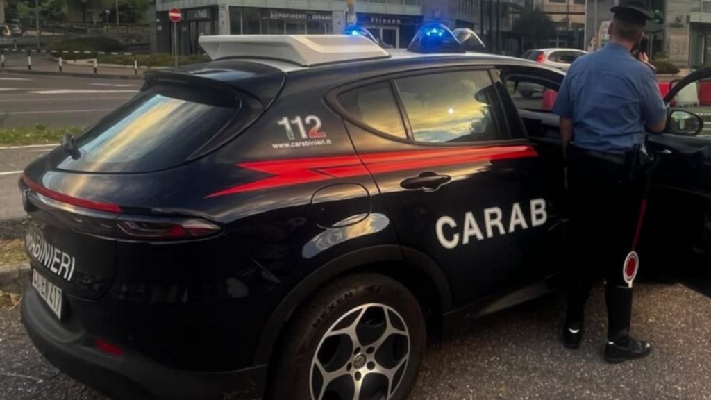 Posto di blocco - fonte_Ansa - piemontetopnews.it