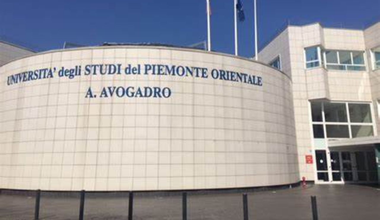Università del Piemonte Orientale: 9 studenti su 10 si dichiarano soddisfatti e pronti per il mondo del lavoro