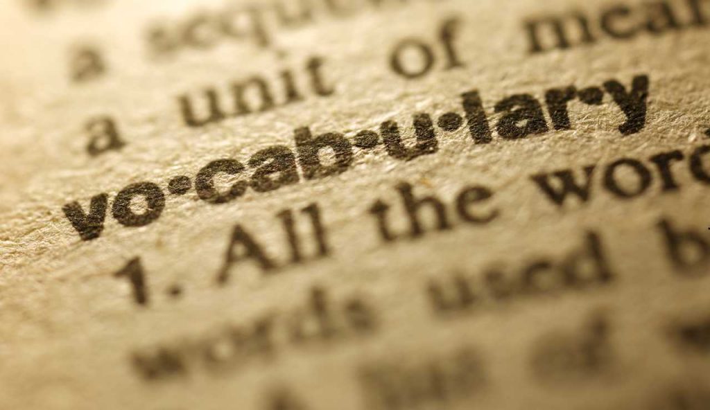 Vocabolario - fonte_Canva - piemontetopnews.it