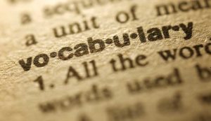 Vocabolario - fonte_Canva - piemontetopnews.it