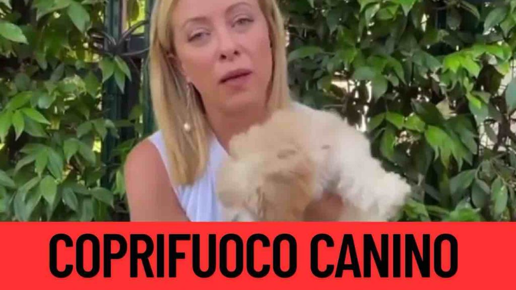 Coprifuoco canino - fonte_YouTube - piemontetopnews.it
