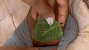 "Devi mettere una foglia nel calzino" | Trucco di Nonna Ida per distruggere il raffreddore