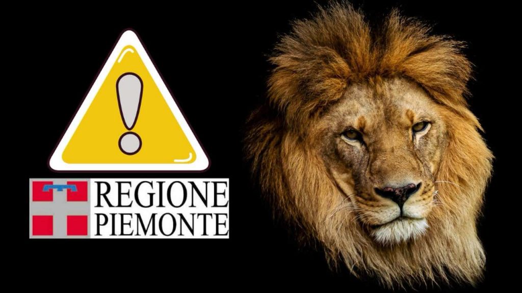 Leoni - fonte_Freepik - piemontetopnews.it