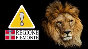 Leoni - fonte_Freepik - piemontetopnews.it