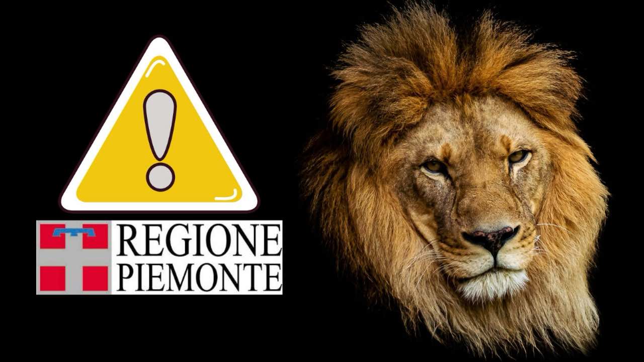 Leoni - fonte_Freepik - piemontetopnews.it