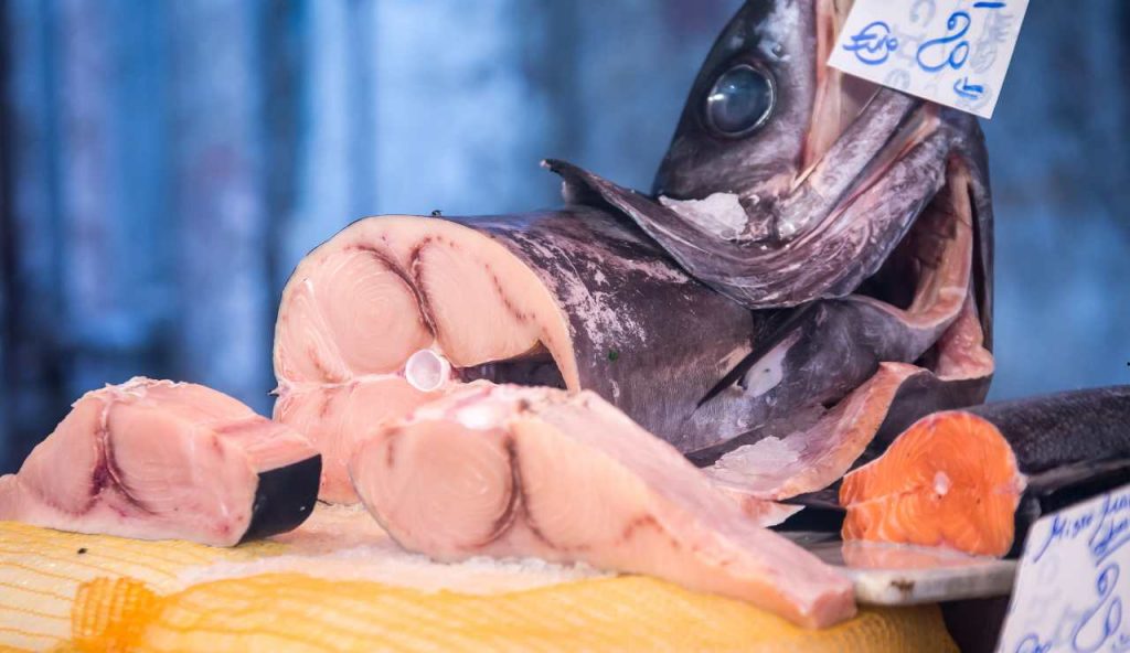 Pesce spada - fonte_Canva - piemontetopnews.it