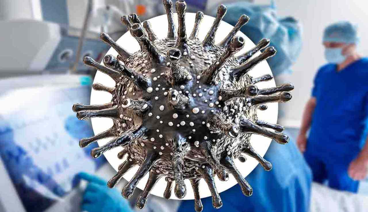 Virus letale scoperto in Piemonte: l’emorragia è talmente grave da ucciderti | Molto peggio del West Nile