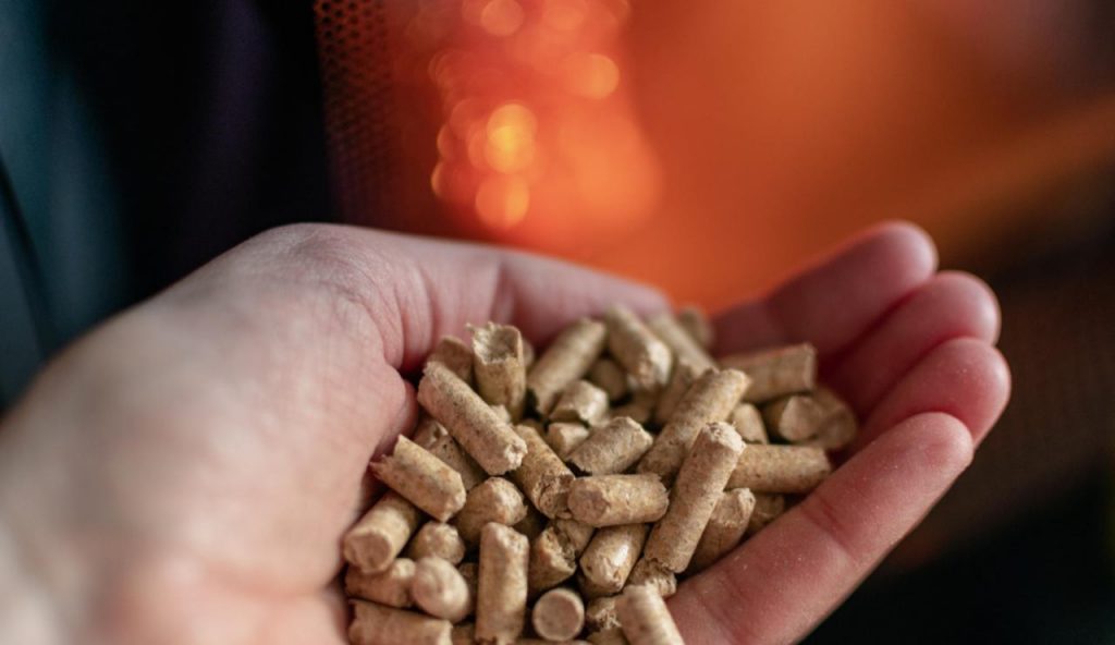 Bonus pellet (web) - Piemontetopnews.it
