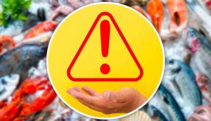 Allerta pesce (web) - Piemontetopnews.it