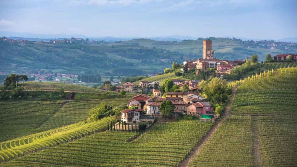Il “Modello Langhe” contro lo sfruttamento: l’agricoltura si fa etica