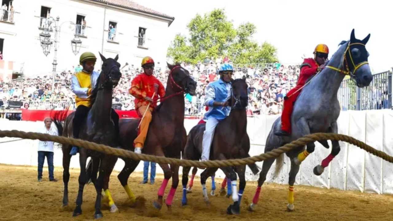 Palio di Asti: la pista è stata dichiarata idonea, tre cavalli esclusi