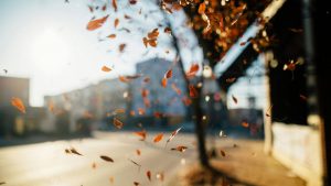 Allerta vento, l'autunno scuote il Piemonte - Piemontetopnews.it