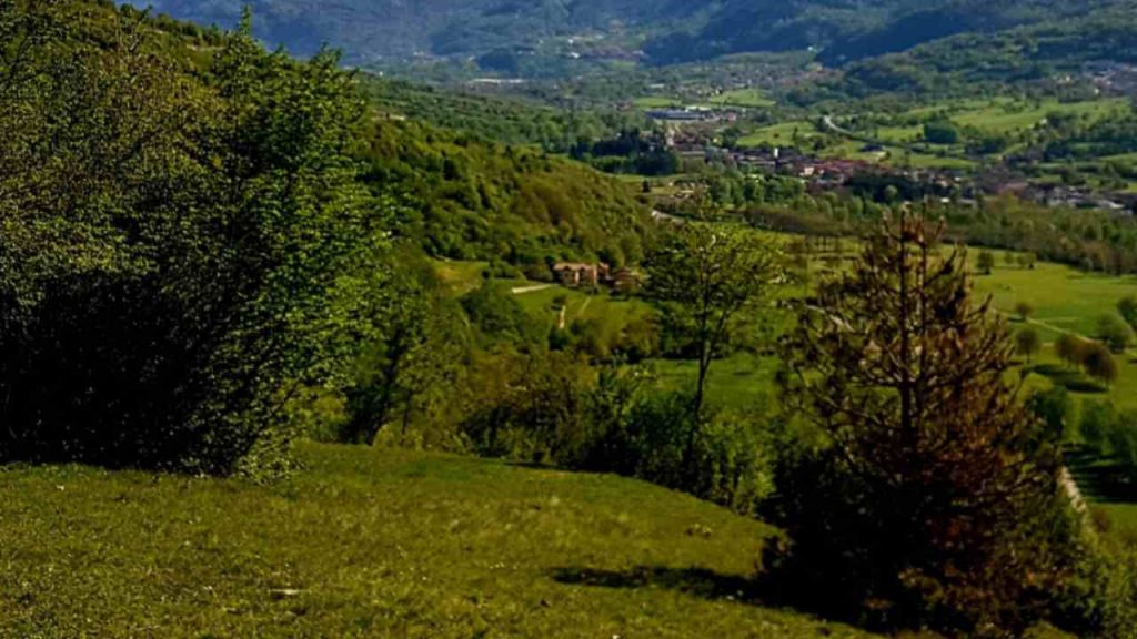Test QI, spunta quello irrisolvibile - Piemontetopnews.it